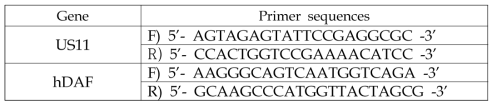 PCR 분석을 위한 hDAF 및 US11 유전자 특이적 pirmer sets