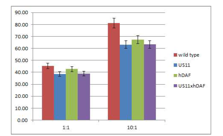 형질전환돼지 세포의 NK cell에 대한 Cytotoxicity. NK Cells의 농도는 형질잔화돼지세포 대비 1:1 and 10:1호 수행하였음(Wild type, US11, hDAF and US11XhDAF)