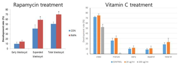 라파마이신 및 vitamin C 처리에 따른 배반포 발달률 변화