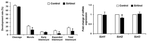 sirtuin inhibitor 처리에 따른 발달 단계별 Sirt 유전자 그룹간의 변화