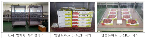 1-MCP처리 간이 밀폐형 아크릴박스 및 토마토 1-MCP 처리모습