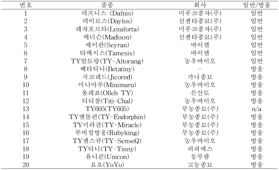 실험에 사용된 주요 수출토마토 20품종