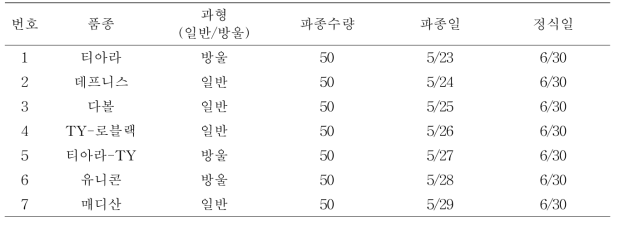 재배적 특성평가에 이용한 주요 수출토마토 7품종의 재배 정보