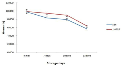 1-MCP 처리 후 토마토의 경도변화