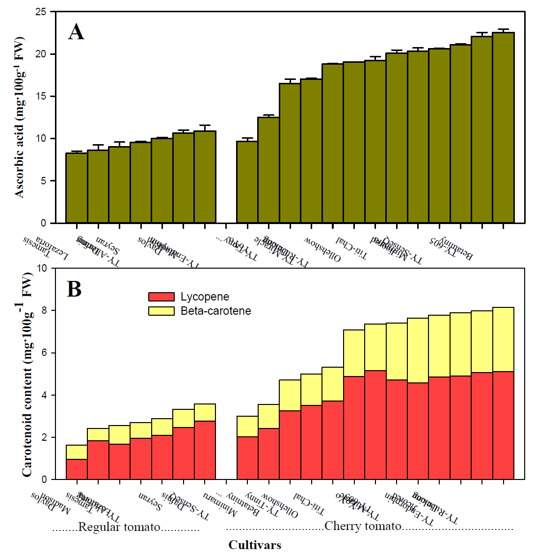 토마토 품종별 ascorbic acid(A)와 carotenoid 함량(B)