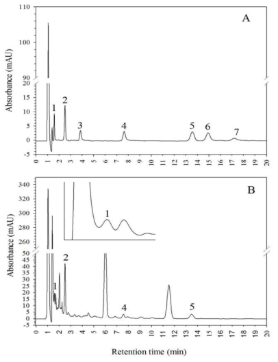 HPLC 분석에 적용된 flavonoid의 표준곡선 및 성분 (a) and tomato sample; Betatniy (b). Peak identification 1: rutin; 2: quercetin; 3: myricetin; 4: luteolin; 5: naringenin; 6: apigenin; and 7: kaempferol