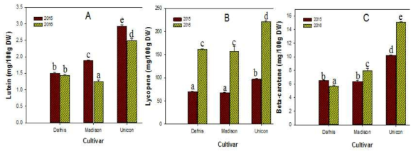 토마토 연도별 함량 변화 carotenoids; lutein (A), lycopene (B), and β-carotene (C)