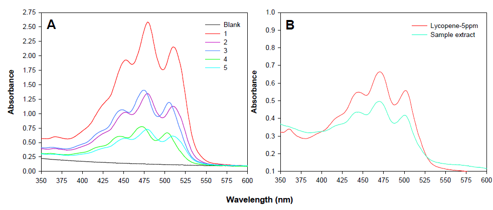 토마토 과실 추출액의 희석 용매 종류 및 희석배수에 따른 분광스펙트럼 차이(A)와 lycopene 표준물질 및 시료의 분광스펙트럼. 1, 초기 추출액; 2, chloroform+MeOH(1:1) 용매로 2배 희석; 3, MeOH(100%) 용매로 2배 희석; 4, MeOH(100%) 용매로 4배 희석; 5, chloroform:MeOH(1:1) 용액으로 4배 희석