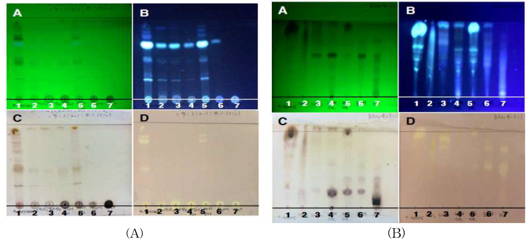 Thin-layer chromatography (TLC) of C. militaris waste product solvent fraction. The TLC plate developed and visualized by UV, DPPH ethanol solution and 1% cerium (IV) sulfate ethanol solution spray.; A, 254 nm UV; B, 365 nm UV; C, cerium sulfate hydrate.; D, 200 μM DPPH ethanol solution. ; 1. n-hexane layer, 2. chloroform layer, 3. ethyl acetate layer, 4. fruit body of C. militaris extract, 5. waste product of C. militaris extract, 6. water-saturated n-butanol, 7. water layer