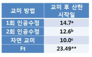 인공수정여왕벌 산란 개시일