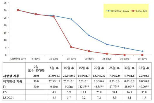 토종벌 낭충봉아부패병 저항성계통 일벌수명 비교