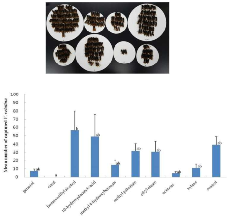 꿀벌페로몬 유인액 조성에 따른 등검은말벌 유인 효과 구명(Tukey’s HSD test ANOVA, P<0.05.)