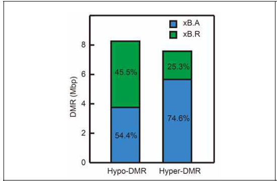 Hypo, hyper DMR의 부모 유래 유전체별 분포