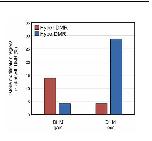 DHM과 DMR의 관계