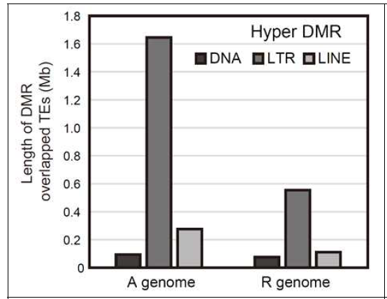 Hyper DMR의 TE 종류별 분포