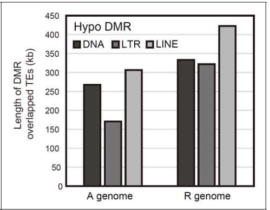 Hypo DMR의 TE 종류별 분포