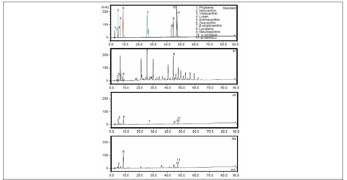 HPLC를 이용한 배추, 무, 배무채에서 카로티노이드 검출