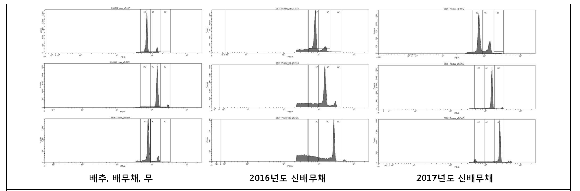 FACS를 이용한 신배무체의 배수화 확인