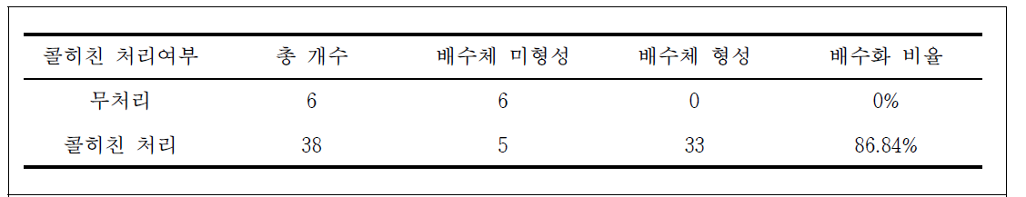 콜히친 처리에 따른 배수체 형성 비율 분석