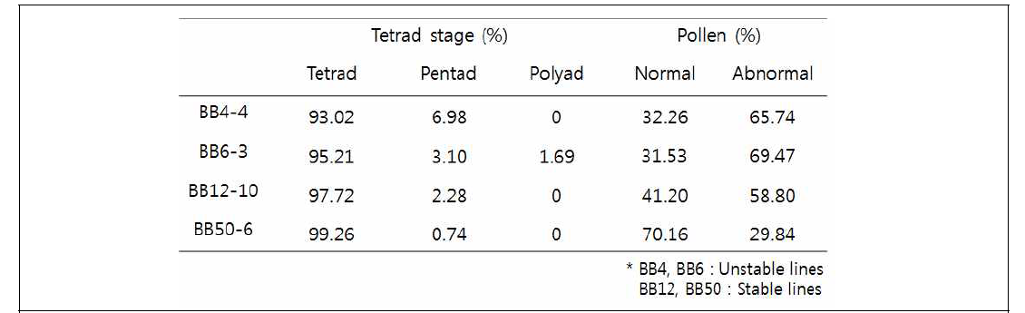 BB 라인들의 tetrad와 pollen 의 비정상과 정상의 비율