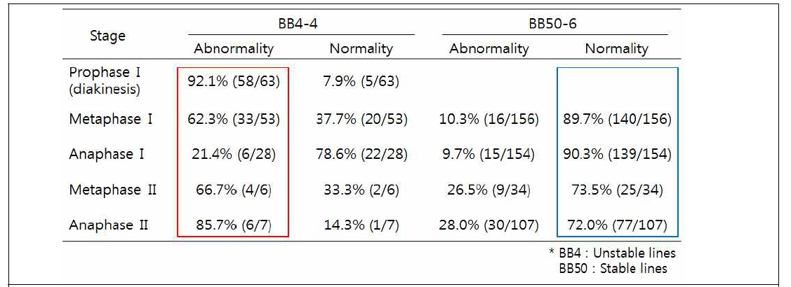 배무채 BB4와 BB50의 비정상적인 감수분열 비교