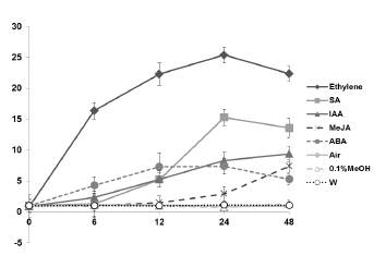 다양한 식물호르몬 처리 후 GLIP1의 발현량 분석비교