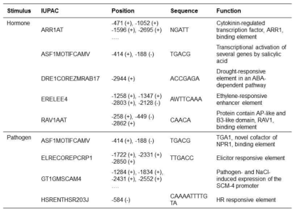 GLIP1 프로모터 내 호르몬과 병원균과 관련된 cis-element 리스트