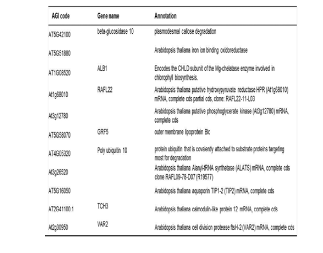 ERF-X의 후보 결합단백질 리스트