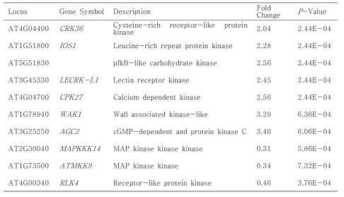 A. brassicicola 처리 후 발현이 증가한 kinase 리스트