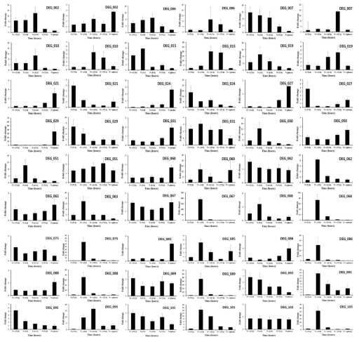 질소 대사관련 NGS DB와 발현 양상이 유사한 146 mRNA qRT-PCR 결과