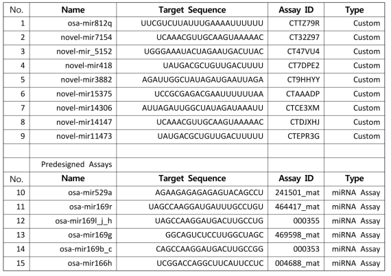 miRNA TaqMan assay를 위한 벼의 질소 대사 관련 novel miRNA list 및 sequence 정보