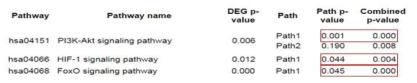 유의한 P-value(≦0.05)로 다르게 발현된 서브패스웨이 목록