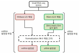 miRNA와 siRNA 발현량 추정 방법