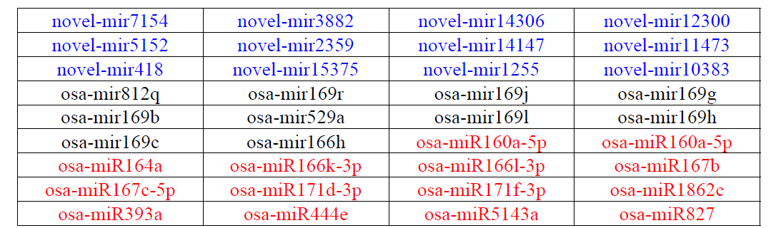 선발된 36개의 타겟 miRNA. 파란 글씨은 novel miRNA, 검정 글씨는 DEP miRNA, 빨간 글씨는 DEmiRNA 분석을 통해 선별된 miRNA임