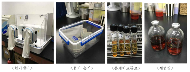 혐기성 미생물 배양 장치