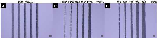 Silk fibroin/Poloxamer 407 혼합 하이드로겔의 프린팅 조건 비교 (A) 최적의 조건. (B) 프린팅 속도 변화, (C) 공압 변화 , scale bar= 250μm