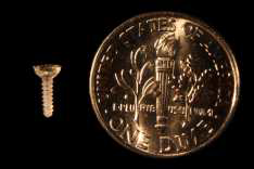 회전건조장치를 사용해 제작된 실크 피브로인 스크류와 동전의 크기 비교
