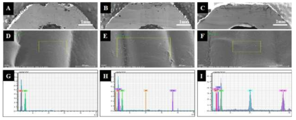 골 고정 클립의 SEM-EDX 분석결과. 상단 이미지는 단면 구조, 중단 하단 이미지는 표면분석결과 (A,a: PLA, B,b: PLA/HAp, C,c: PLA/SF/HAp), scale bar= 1mm