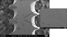 실크 피브로인 골 고정나사의 내부구조 분석