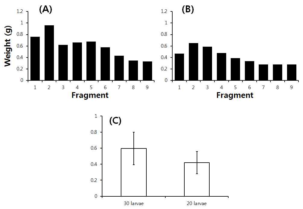 누에 밀도 조건별 실크 매트릭스의 무게 비교. (A) 30마리, (B) 20 마리 조건에서 9개 실크 매트릭스 조각의 무게, (C) 누에 밀도 조건별 전체 평균 무게