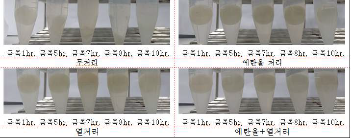 유착방지용 실크 막의 생분해성 분석 (25일 경과)