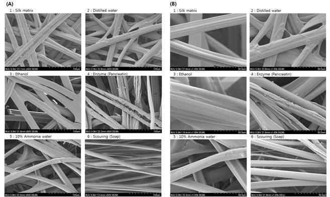 후처리 실크 매트릭스의 주사전자현미경 확대 관찰. (A) 500배, (B) 1000배