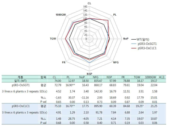 형질전환체의 가뭄저항성 성능 검증 - 2017년 (P-value=0.05>*; 0.01>**)