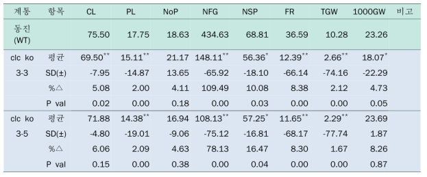 OsCLC1 K/O (15236.R) 형질전환체 T7 세대 (2016년) 가뭄저항성 결과
