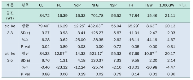 OsCLC1 K/O (15236.R) 형질전환체 T8 세대 (2017년) 가뭄저항성 결과
