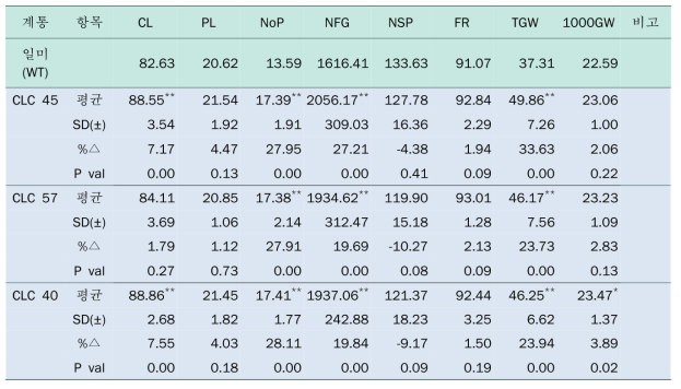pSR3-OsCLC1 형질전환체 T5 세대 생육조사 결과
