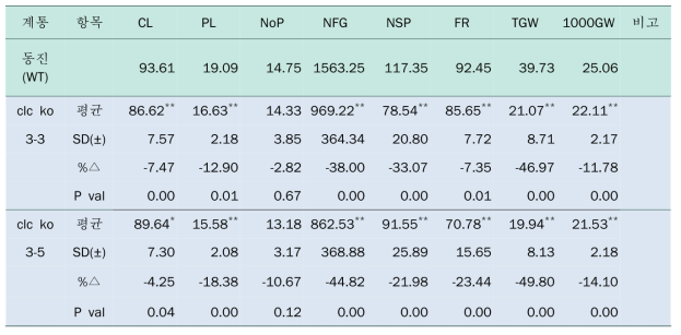 OsCLC1 K/O (15236.R) 형질전환체 T8 세대 생육조사 결과
