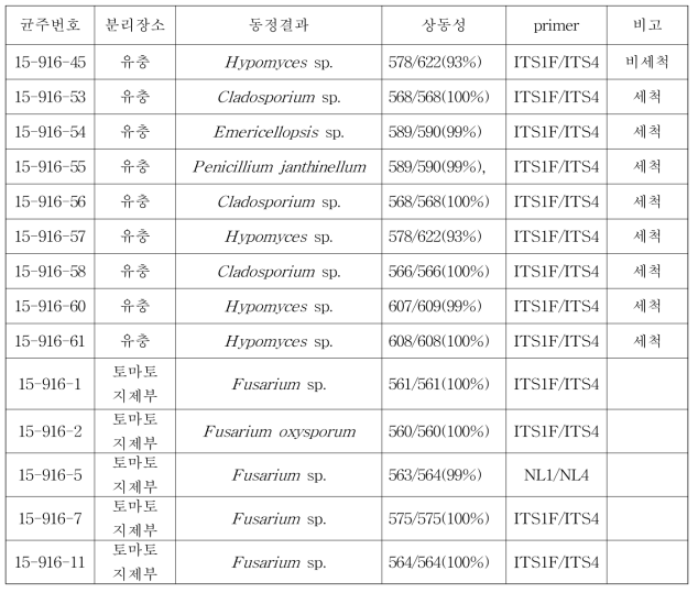 근권파리 유충과 피해 식물체로부터 분리한 미생물 유전자 분석(9. 16)