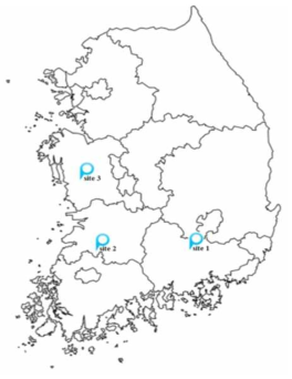 본 연구에 사용한 근권파리 유충, 성충 채집 지역 (site 1: 경남 합천, site 2: 전북 완주, site 3: 충남 부여)