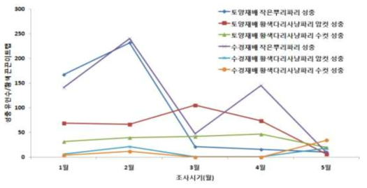 시설 토양 및 수경재배 딸기 농가에서 작은뿌리파리와 황색다리사냥파리 성충의 발생소장